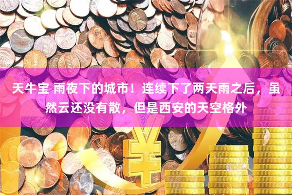 天牛宝 雨夜下的城市！连续下了两天雨之后，虽然云还没有散，但是西安的天空格外