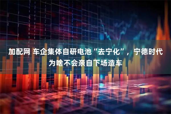 加配网 车企集体自研电池“去宁化”，宁德时代为啥不会亲自下场造车