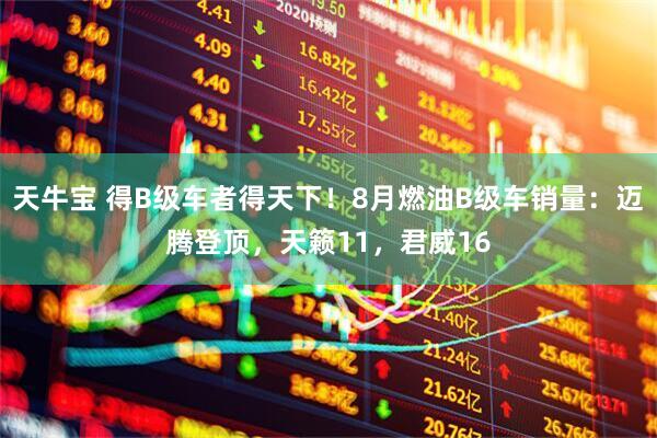 天牛宝 得B级车者得天下！8月燃油B级车销量：迈腾登顶，天籁11，君威16