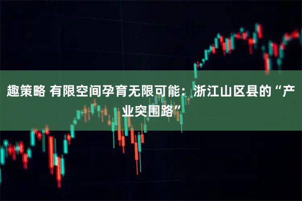 趣策略 有限空间孕育无限可能：浙江山区县的“产业突围路”