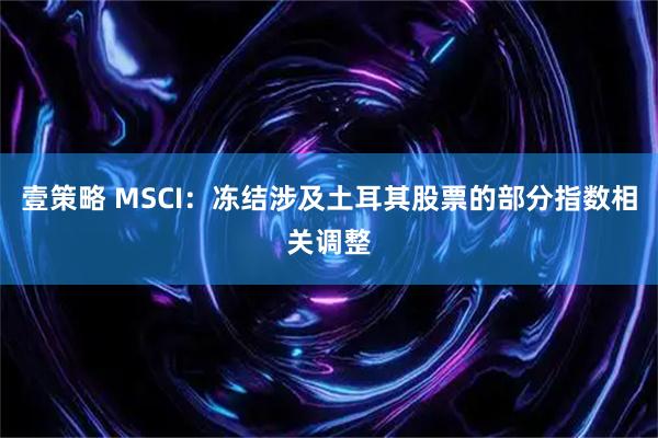 壹策略 MSCI:冻结涉及土耳其股票的部分指数相关调整