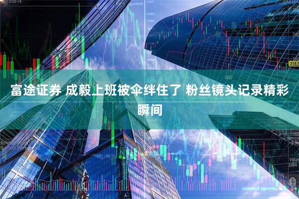 富途证券 成毅上班被伞绊住了 粉丝镜头记录精彩瞬间