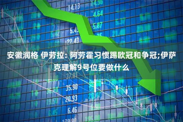 安徽润格 伊劳拉: 阿劳霍习惯踢欧冠和争冠;伊萨克理解9号位要做什么