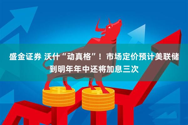盛金证券 沃什“动真格”！市场定价预计美联储到明年年中还将加息三次